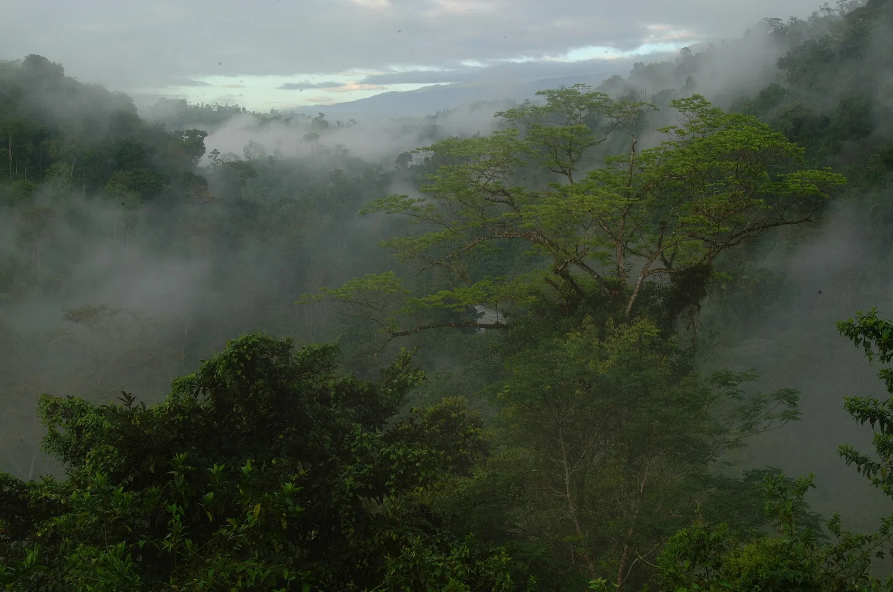 Osa Peninsula / Corcovado