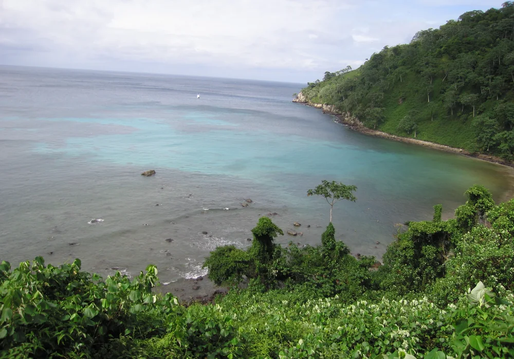 A green Pacific coastline in Costa Rica (representative). Photo: Joshua ten Brink / WildPhotography.com