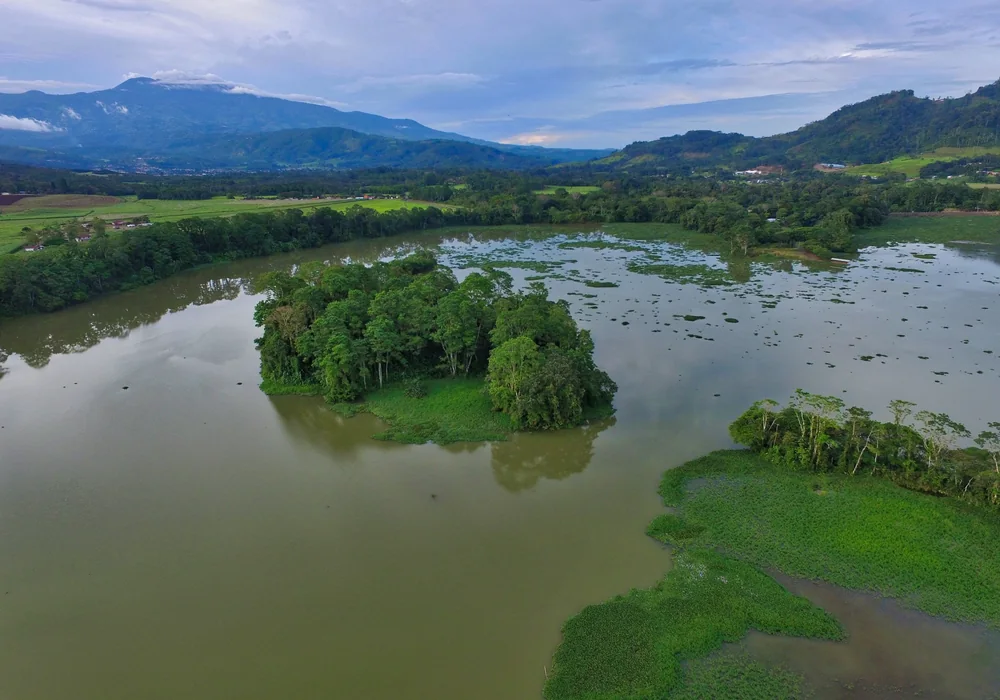 A lagoon in Costa Rica's lowlands (representative). Photo: Joshua ten Brink / WildPhotography.com