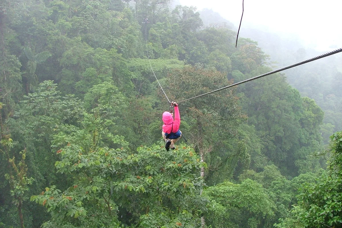 A zipliner crossing the misty rainforest canopy