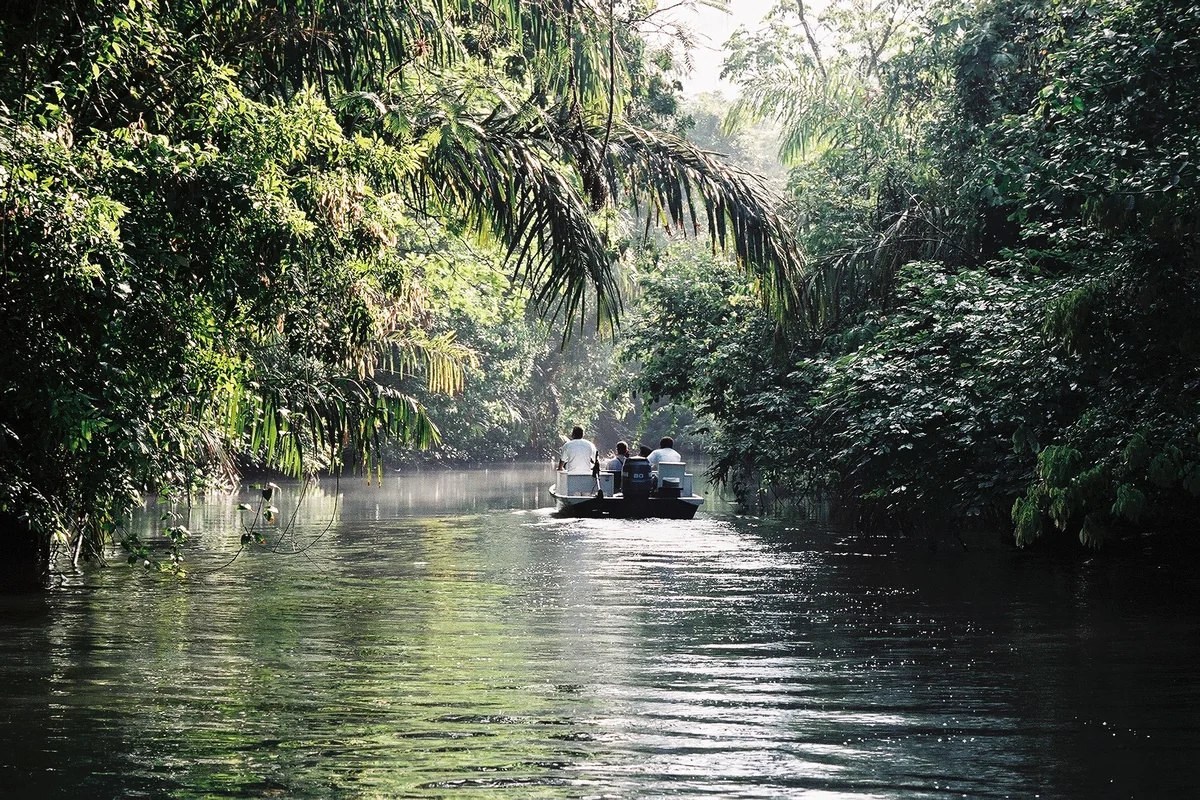 A boat on a Tortuguero canal